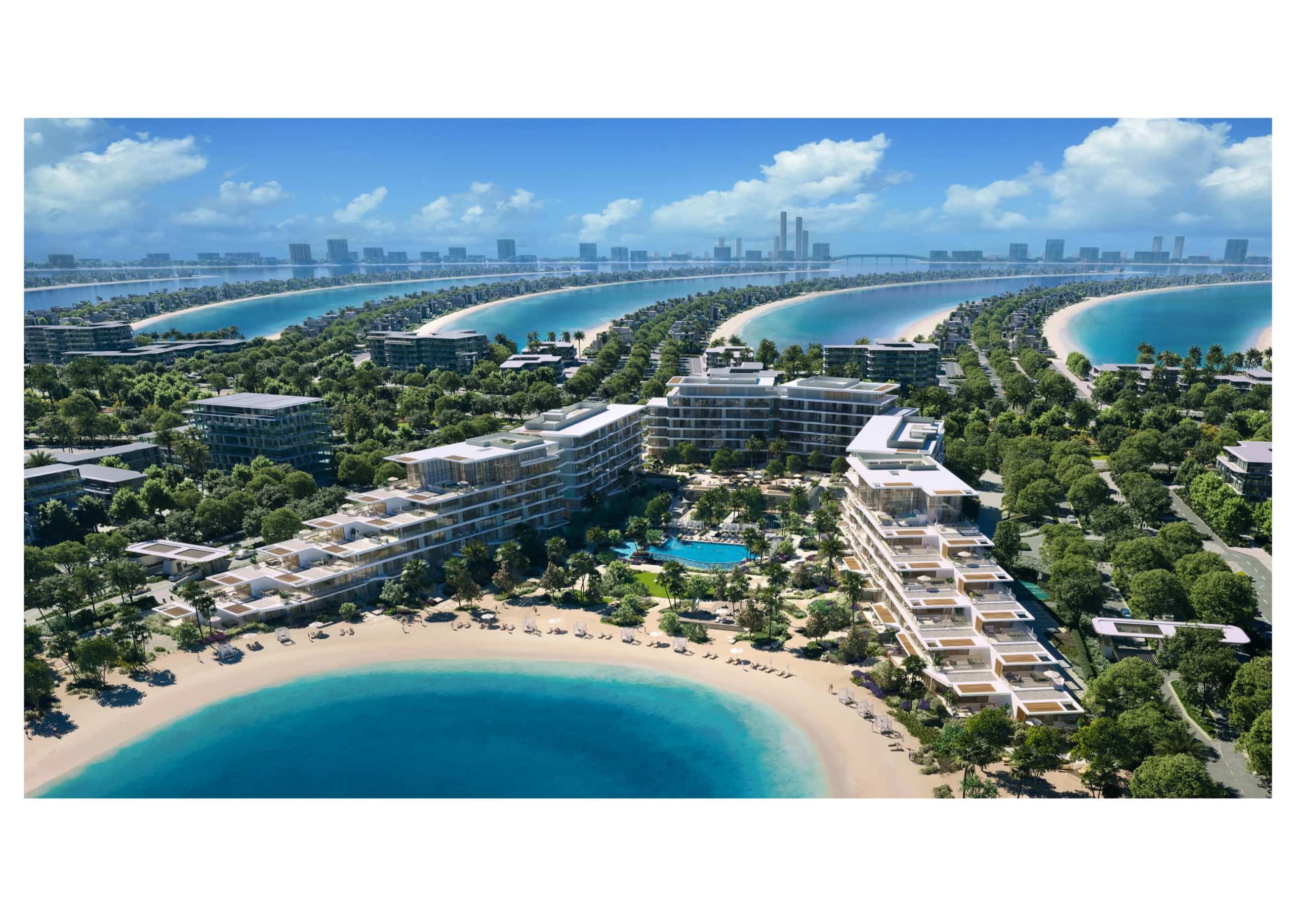 Palm-Central- About us